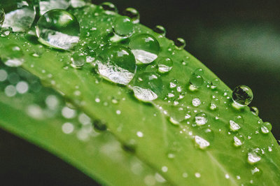 中央財(cái)經(jīng)大學(xué)在職研究生 中央財(cái)經(jīng)大學(xué)在職研究生