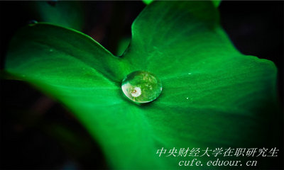 報(bào)考中央財(cái)經(jīng)大學(xué)在職研究生能升職嗎？