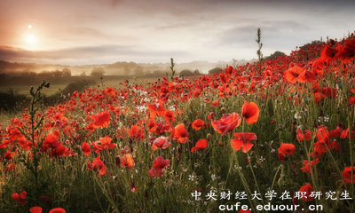 2018年免試入學的中央財經(jīng)大學在職研究生單位認可嗎？