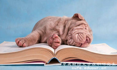 公務(wù)員有必要報(bào)考中央財(cái)經(jīng)大學(xué)雙證在職研究生嗎？