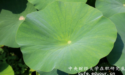 2018年中央財經(jīng)大學在職研究生可以獲得雙證嗎？