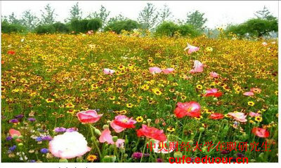 2018年中央財經(jīng)大學(xué)投資學(xué)在職研究生招生嗎？