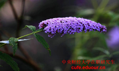 2018年中央財經(jīng)大學(xué)雙證在職研究生報名什么時候？