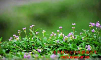 中財北京在職研究生招生專業(yè)？