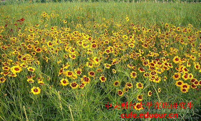 2018年中央財(cái)經(jīng)大學(xué)在職研究生雙證現(xiàn)場(chǎng)確認(rèn)開(kāi)始了嗎？