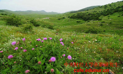 中國(guó)財(cái)經(jīng)大學(xué)在職研究生可以不考試么？