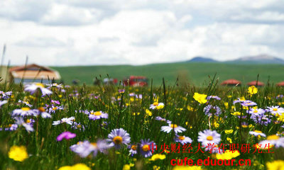 報考央財在職研究生學(xué)位證沒有可以嗎？