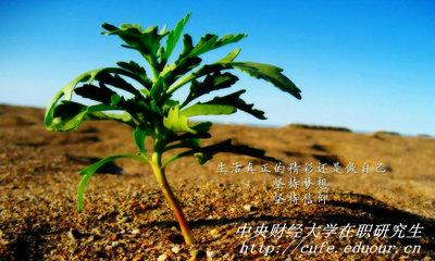 中央財(cái)經(jīng)大學(xué)在職研究生同等學(xué)力申碩有哪些優(yōu)勢？